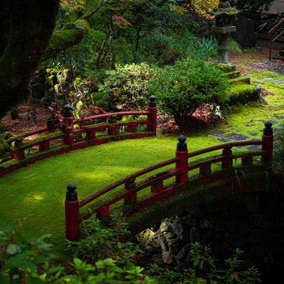 横蔵寺境内を流れる飛鳥川にかかる苔むした赤い橋の写真