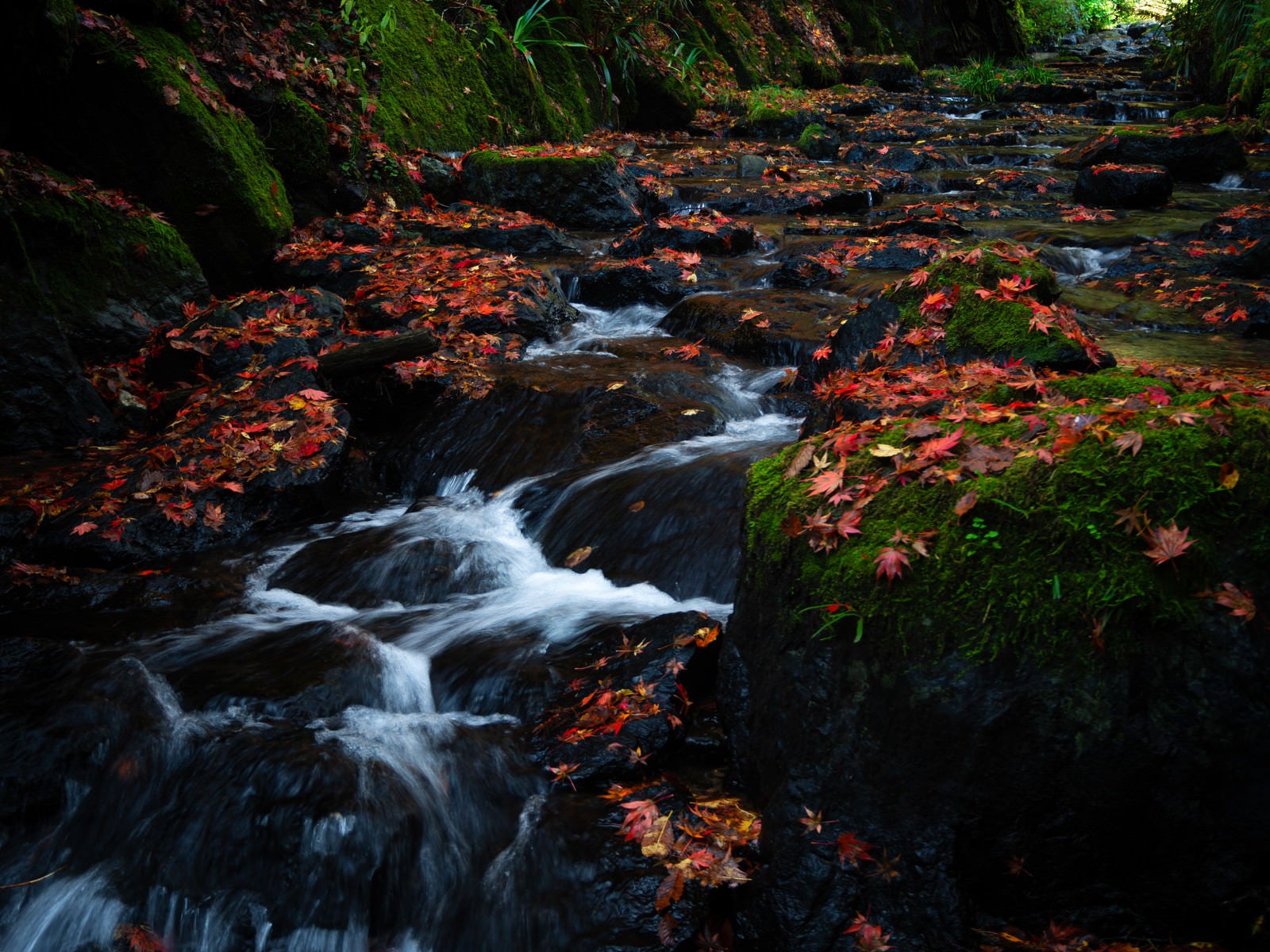 「紅葉に彩られた飛鳥川（横蔵寺）」の写真