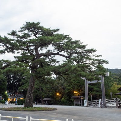 宇治橋鳥居前の広場の写真