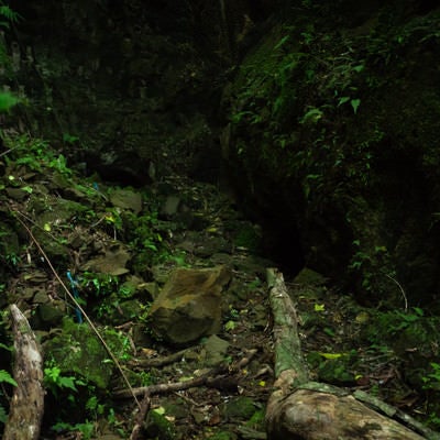 ジャングルの奥にぽっかりと口を開けた海軍司令部壕入口の写真