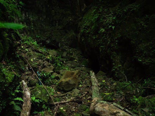 ジャングルの奥にぽっかりと口を開けた海軍司令部壕入口の写真