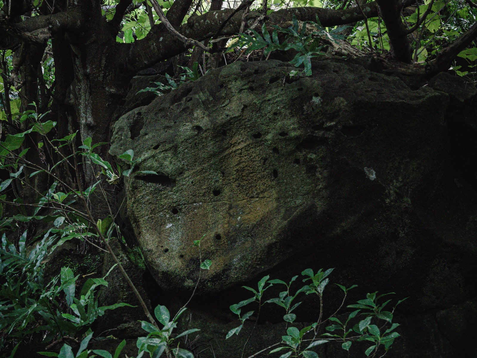 「壕近くの岩肌に残る無数の弾痕［場所：硫黄島］」の写真
