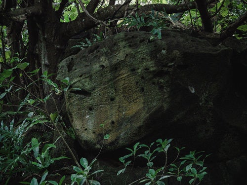 壕近くの岩肌に残る無数の弾痕［場所：硫黄島］の写真