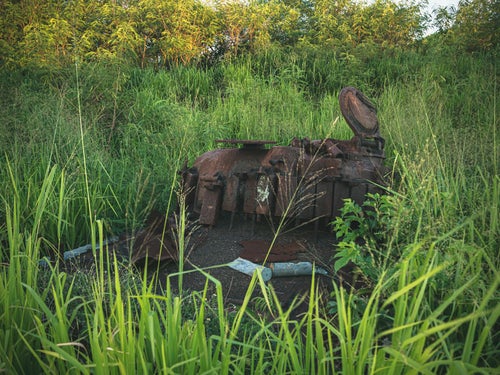 深い草むらに埋もれた錆て朽ちかけたシャーマン戦車と砲弾薬きょうの写真