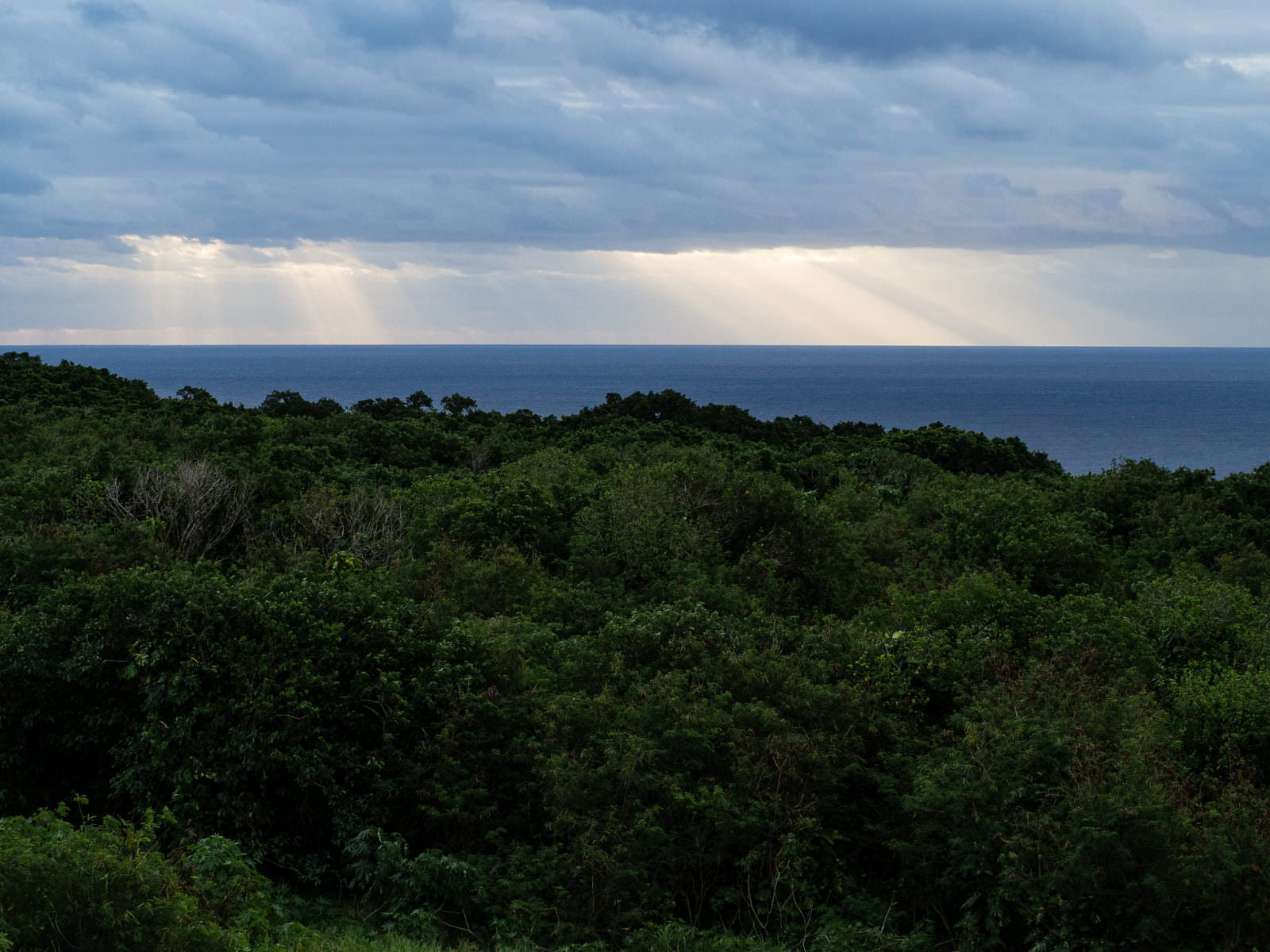「ジャングルの向こうに広がる海に雲間から降りる朝の光」の写真