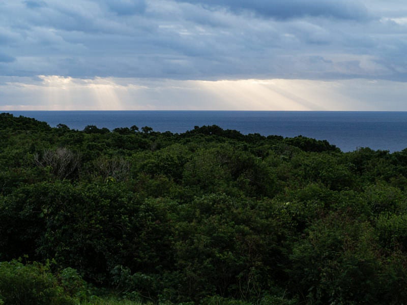 ジャングルの向こうに広がる海に雲間から降りる朝の光の写真