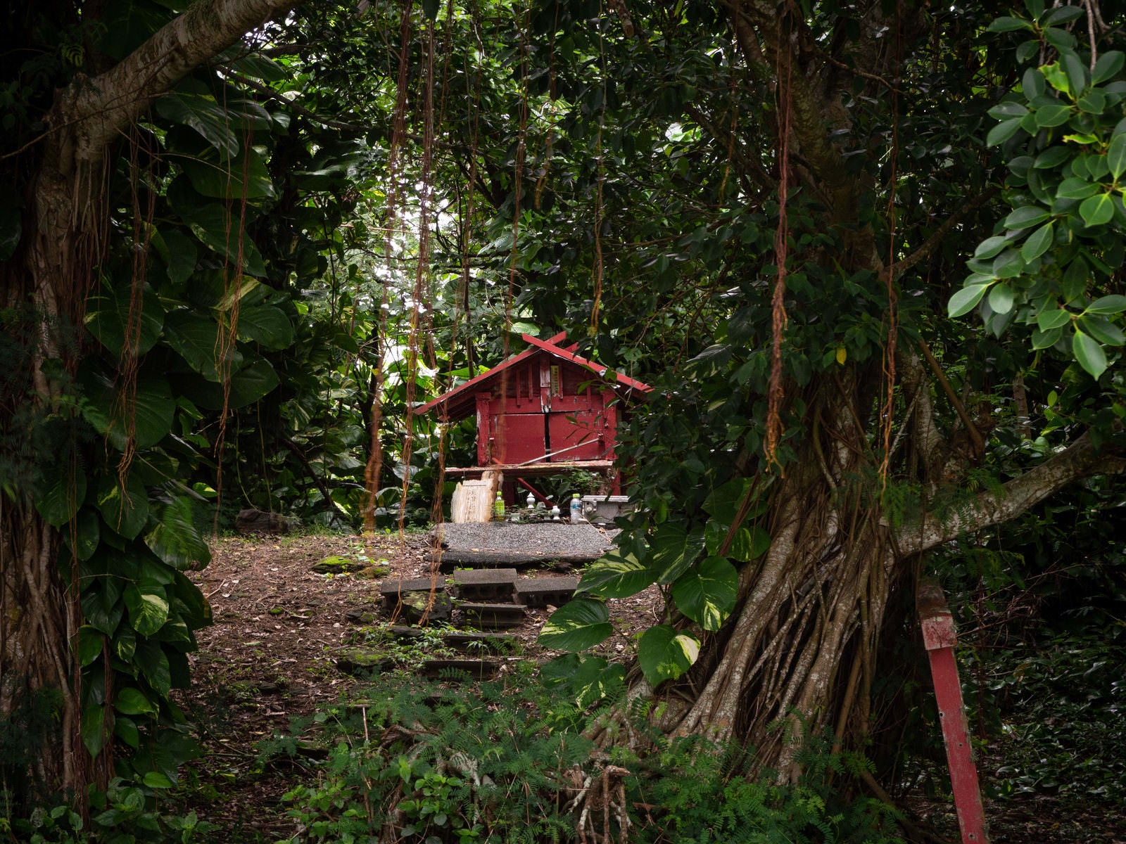 「鬱蒼と茂る木々に囲まれてひっそりと建つ硫黄島神社」の写真