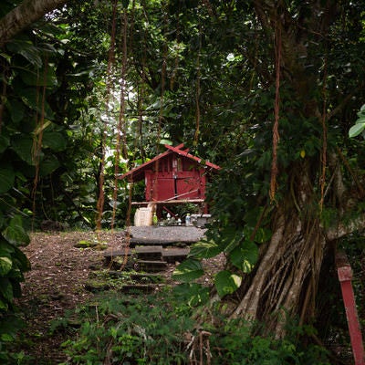 鬱蒼と茂る木々に囲まれてひっそりと建つ硫黄島神社の写真