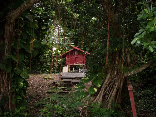 鬱蒼と茂る木々に囲まれてひっそりと建つ硫黄島神社の写真