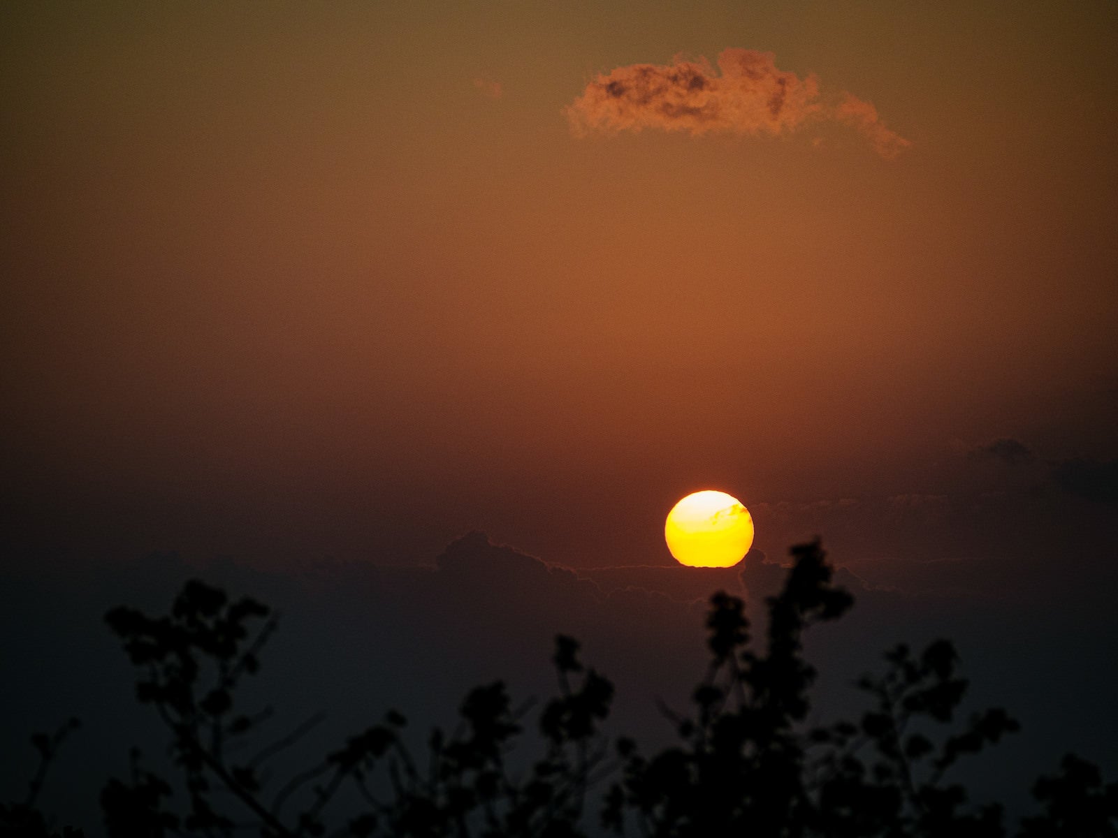 「美しく空を染めて登る朝日」の写真
