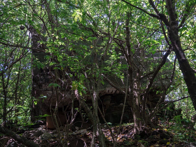 鬱蒼と茂る木々に囲まれる壊れた第1中隊トーチカの写真