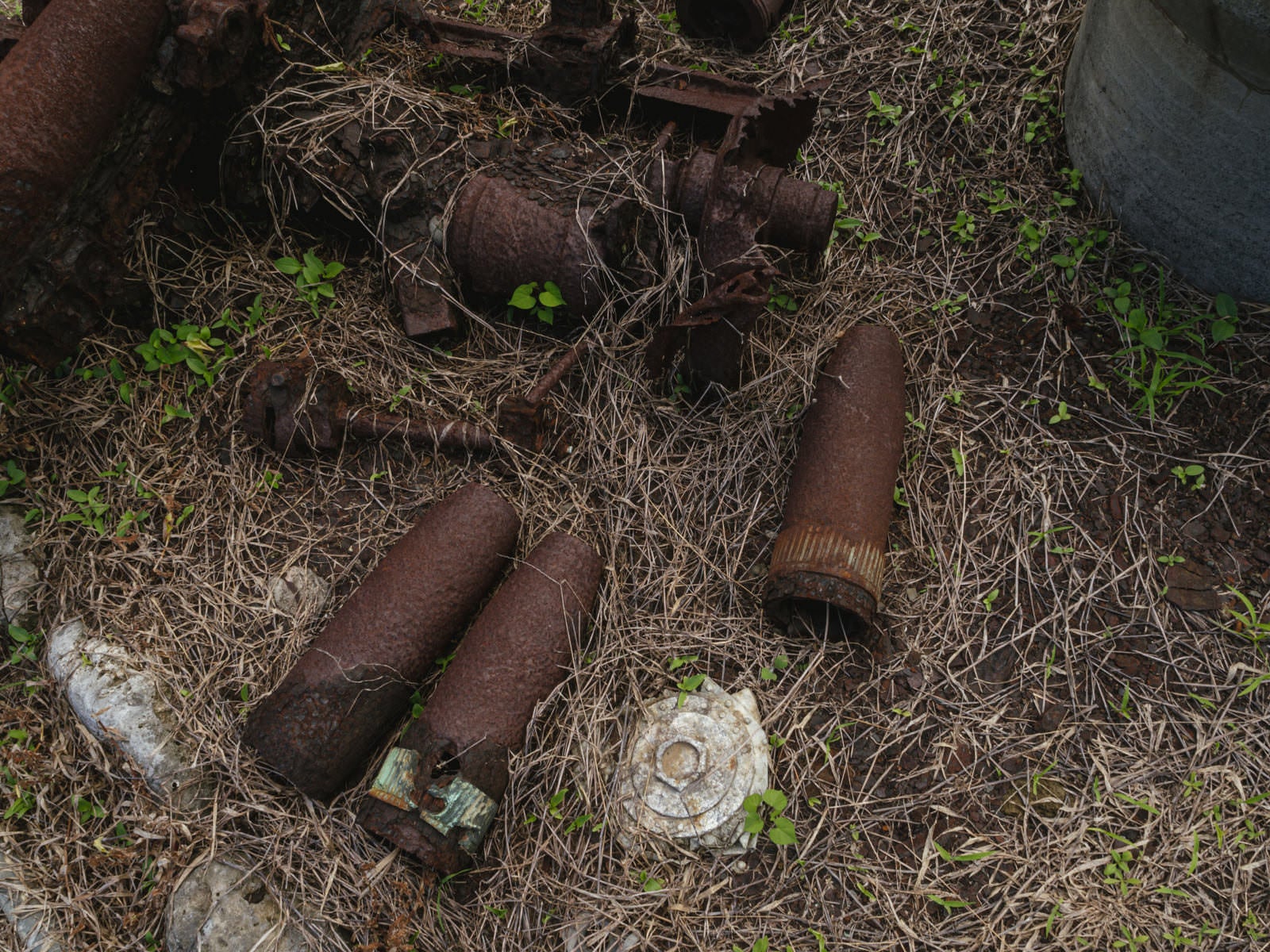 「回収された砲弾」の写真