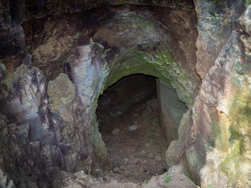 海軍南地区砲台群近くのドラム缶壕北側壕口の写真