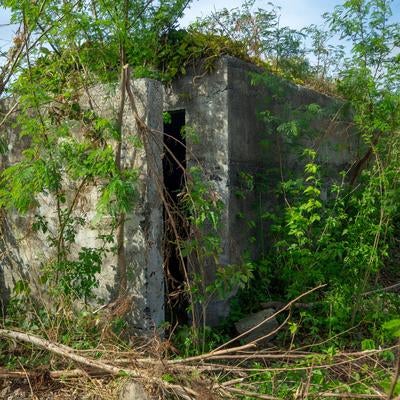 目隠しのように壁が建つコンクリート建造物の素材