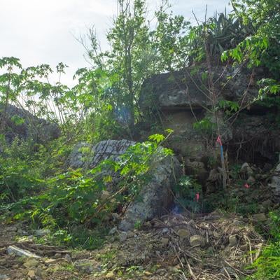 自然に埋もれるように残る海軍南地区砲台群砲台跡の写真
