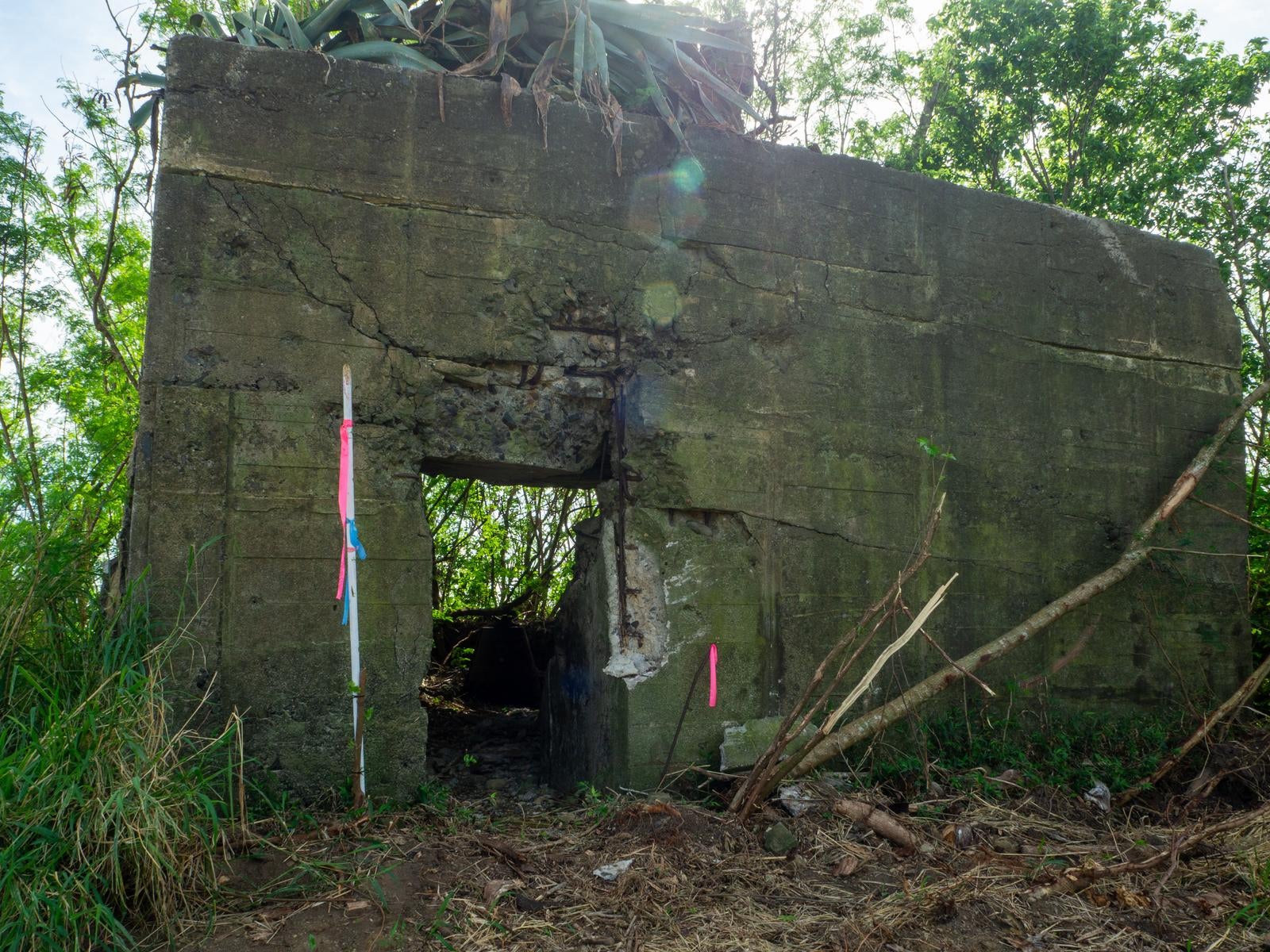 「海軍南地区砲台群のうち比較的形をとどめている砲台跡の後方部」の写真