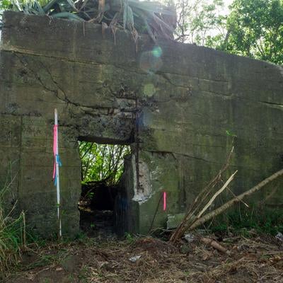 海軍南地区砲台群のうち比較的形をとどめている砲台跡の後方部の写真