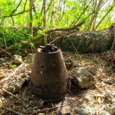 海軍南地区砲台群砲台跡内部に瓦礫と共に残る砲座の素材
