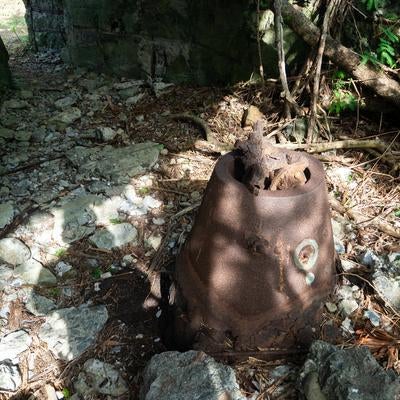 海軍南地区砲台群砲台跡内部に落ちる木漏れ日の写真