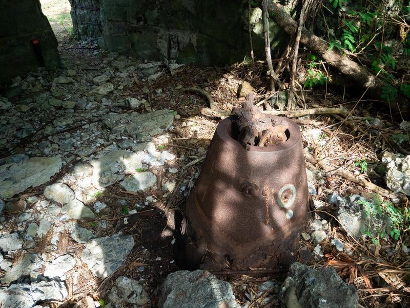 海軍南地区砲台群砲台跡内部に落ちる木漏れ日の写真