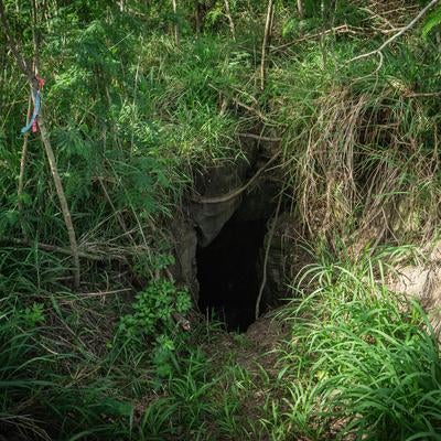 緑豊かな斜面に口を開ける第１中隊壕東側壕口の写真