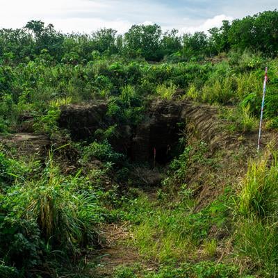 草木が生い茂る中に口を開ける第１中隊壕近くの壕口の写真