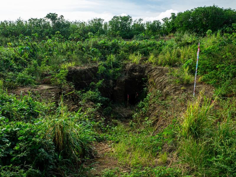 草木が生い茂る中に口を開ける第１中隊壕近くの壕口の写真