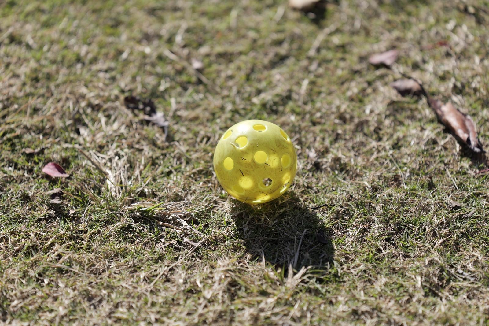 芝生の上に置かれた黄色い穴あきのピックルボール