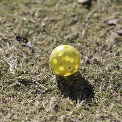 芝生の上に置かれた黄色いピックルボールと影の写真