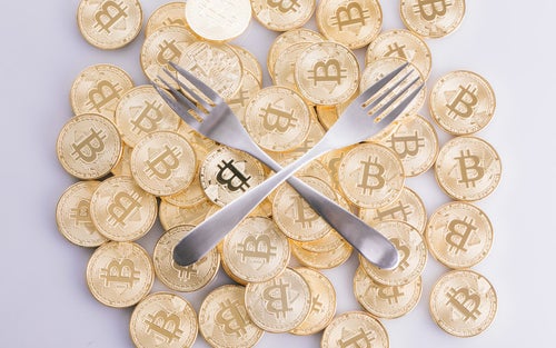 フォークコイン（仮想通貨）の写真