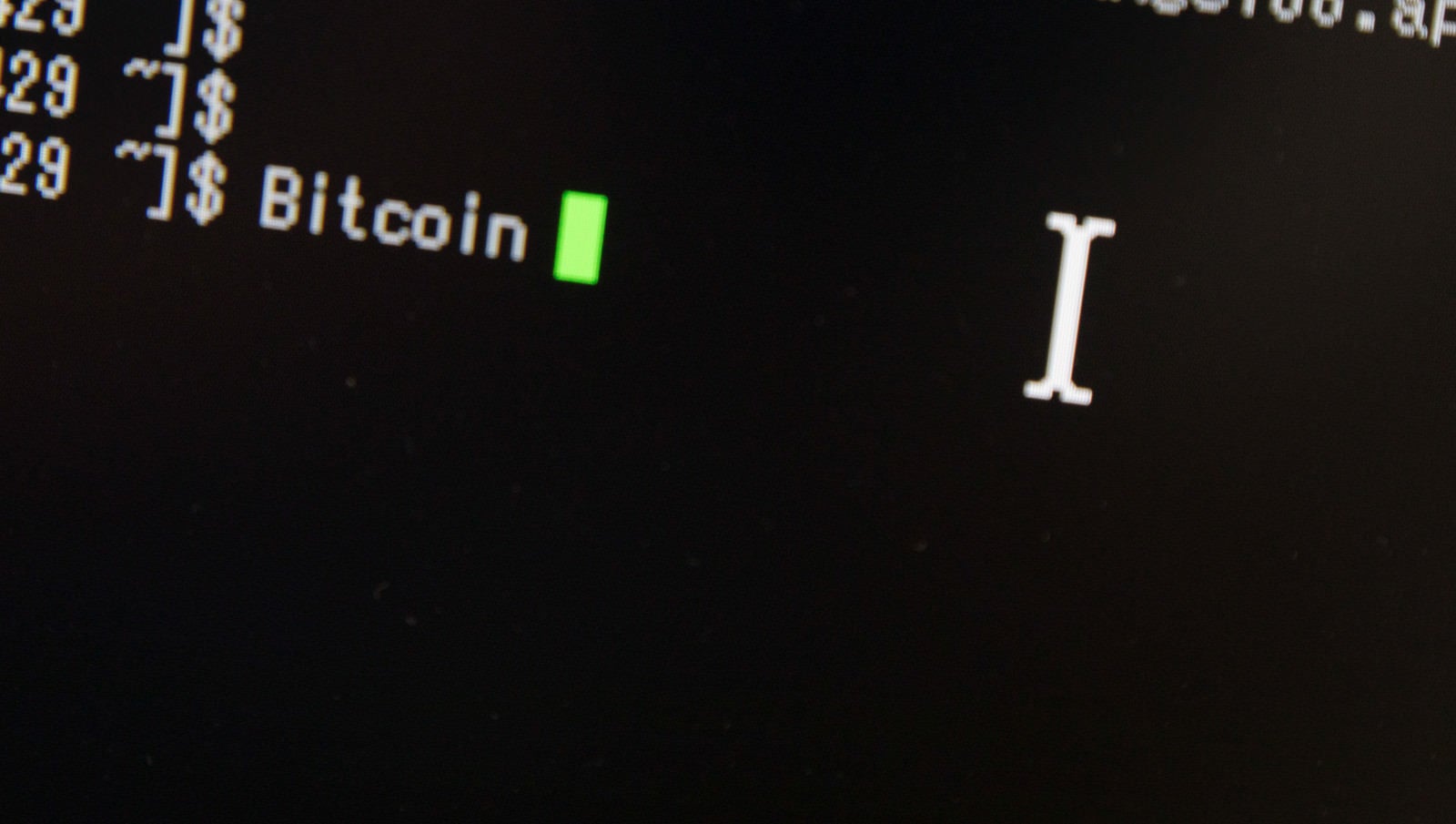 「PC画面に入力された Bitcoin の文字」の写真