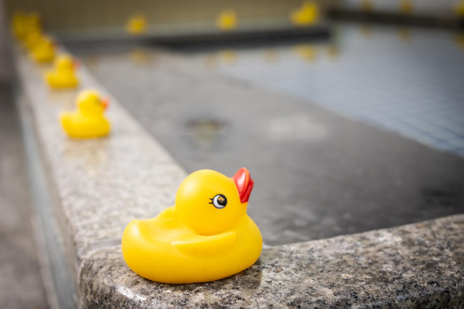 銭湯の大浴場の浴槽の縁に一列に並ぶ黄色いアヒルのおもちゃ
