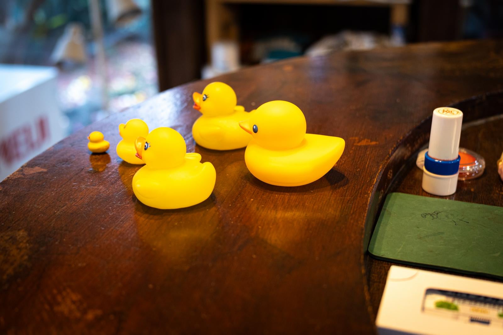 木製カウンターに並ぶ大小4体の黄色いアヒルの置物