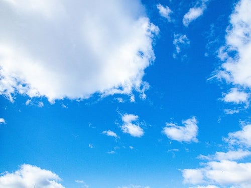 雲浮かぶ青空を飛び交う鳥の写真