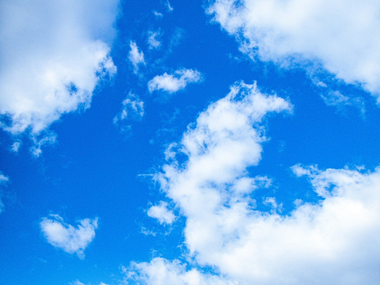 「空に浮かぶ雲」の写真