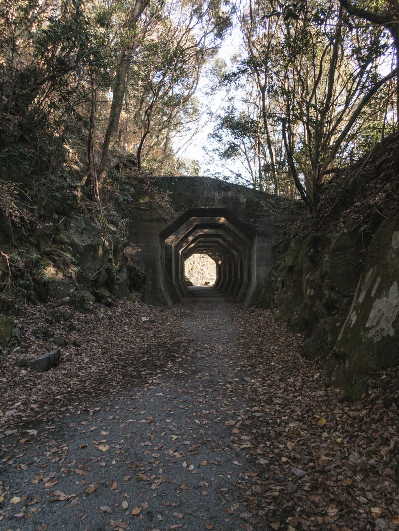 「熊延鉄道の遺構（八角トンネル）」の写真