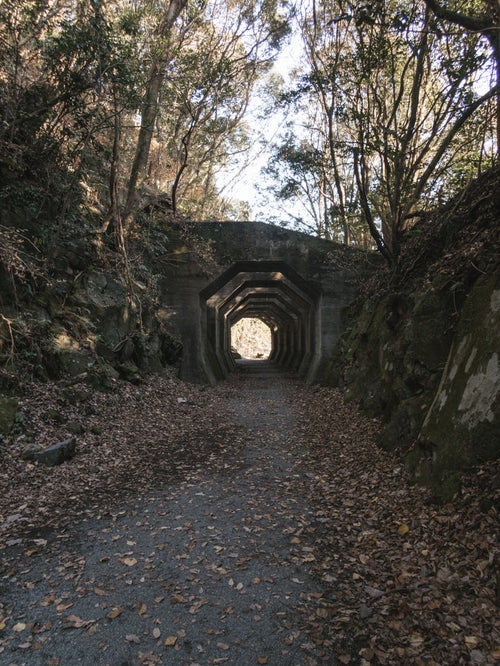 熊延鉄道の遺構（八角トンネル）の写真