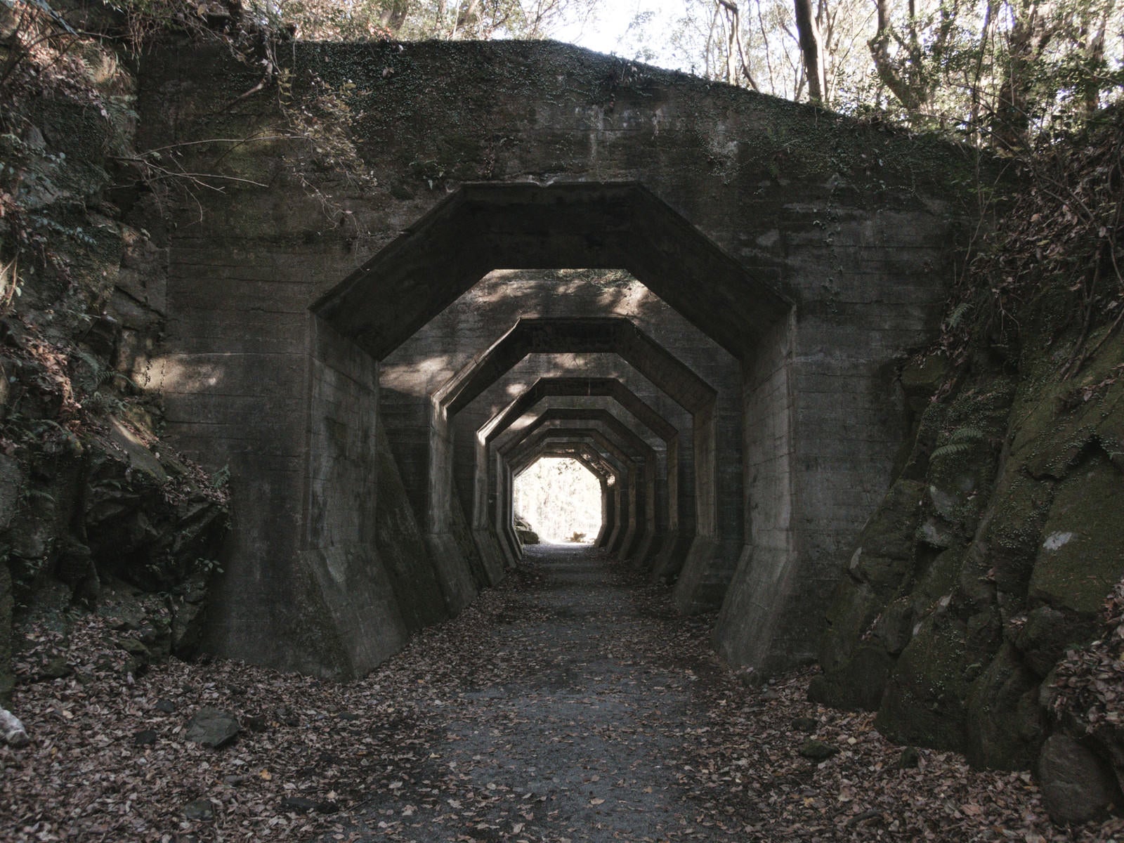 「どこまでも続く八角トンネル跡」の写真