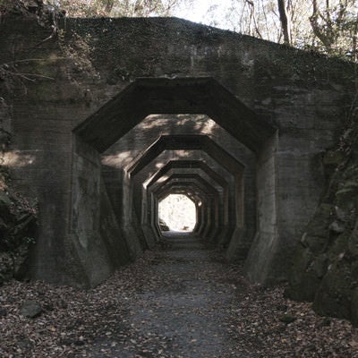 どこまでも続く八角トンネル跡の写真