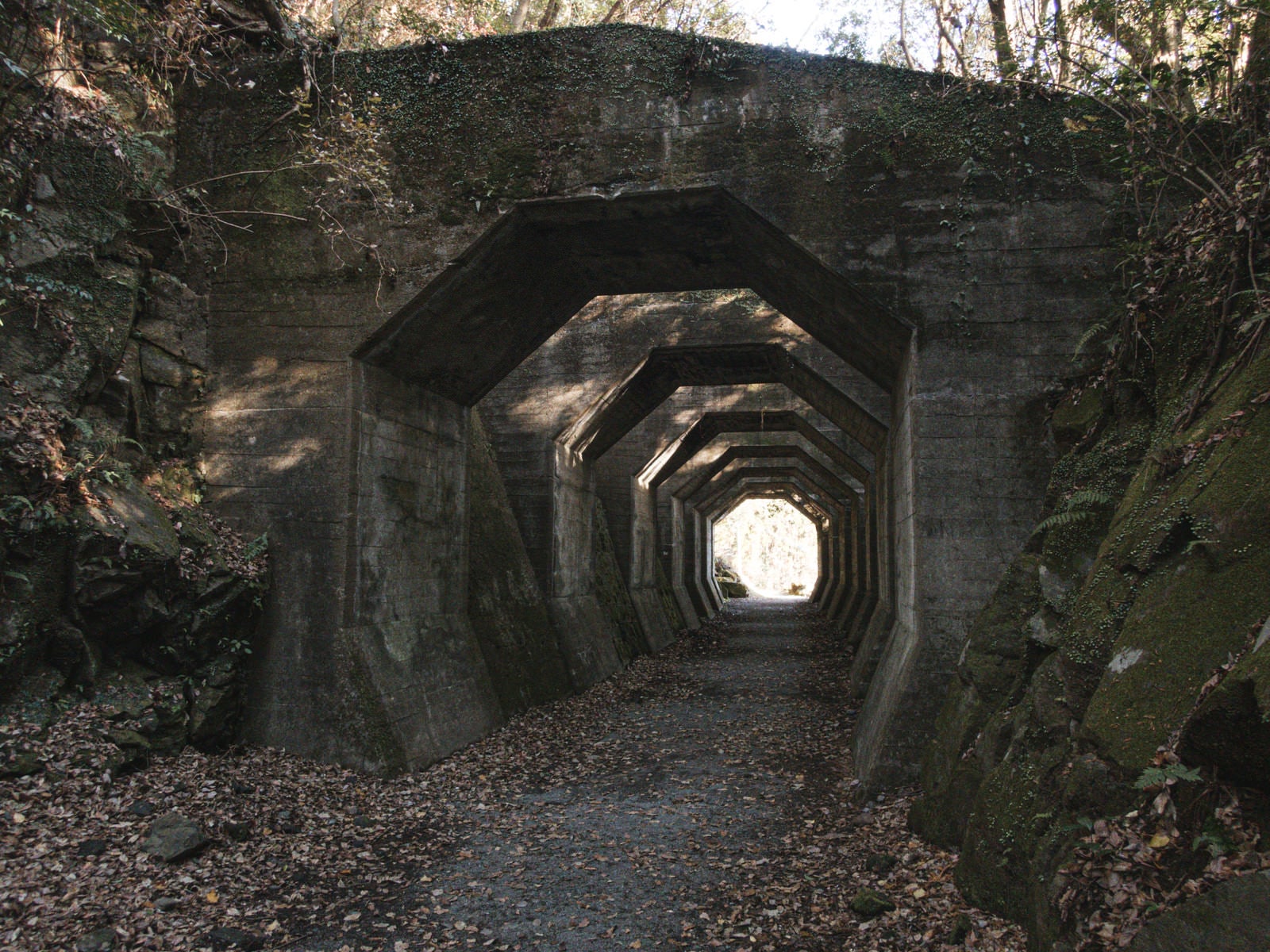 「八角トンネル跡」の写真
