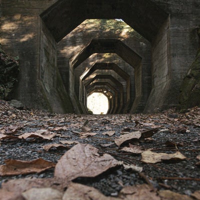 落ち葉の奥に構える八角トンネルの写真