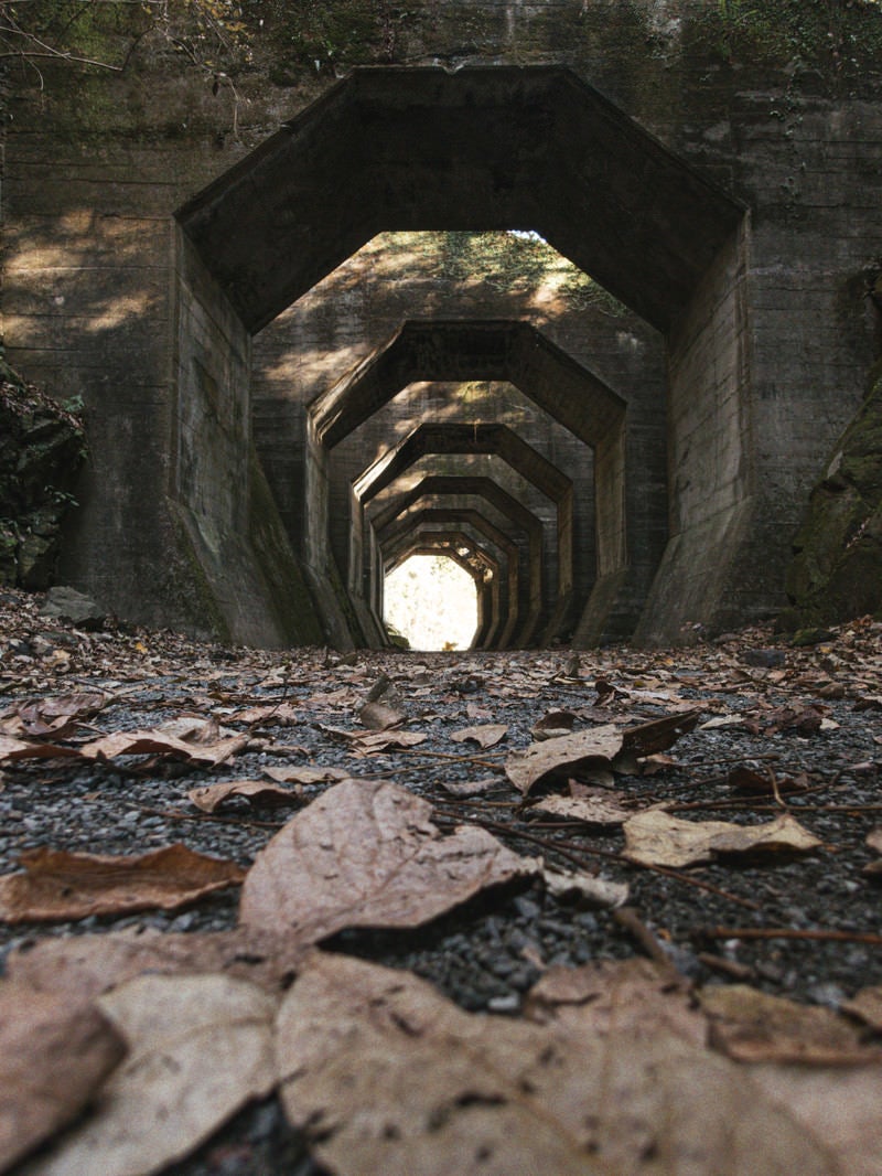 「落ち葉の奥に構える八角トンネル」の写真