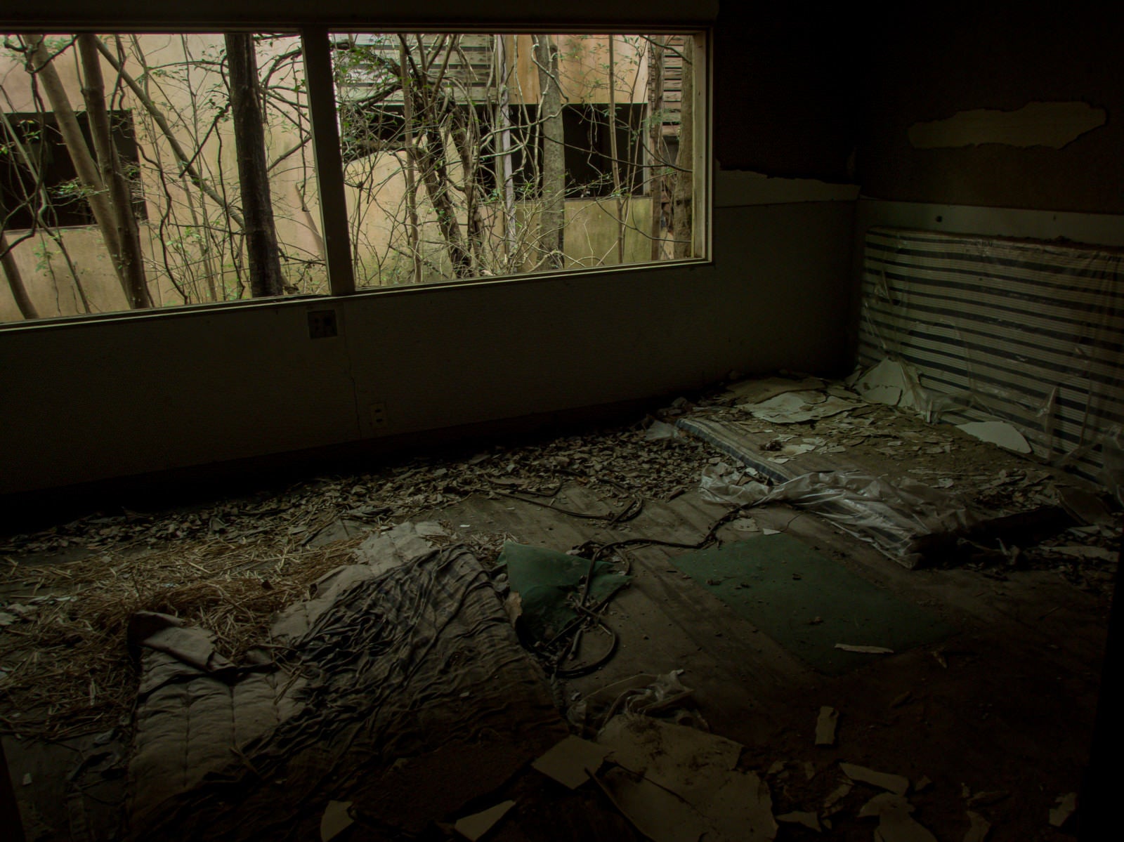 「ボロボロに剥がれた廃部屋とマット」の写真