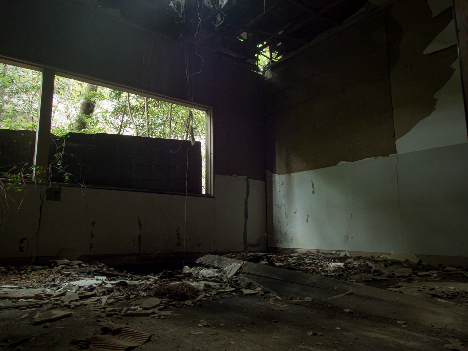「いまにも天井が崩れ落ちそうな廃部屋」の写真
