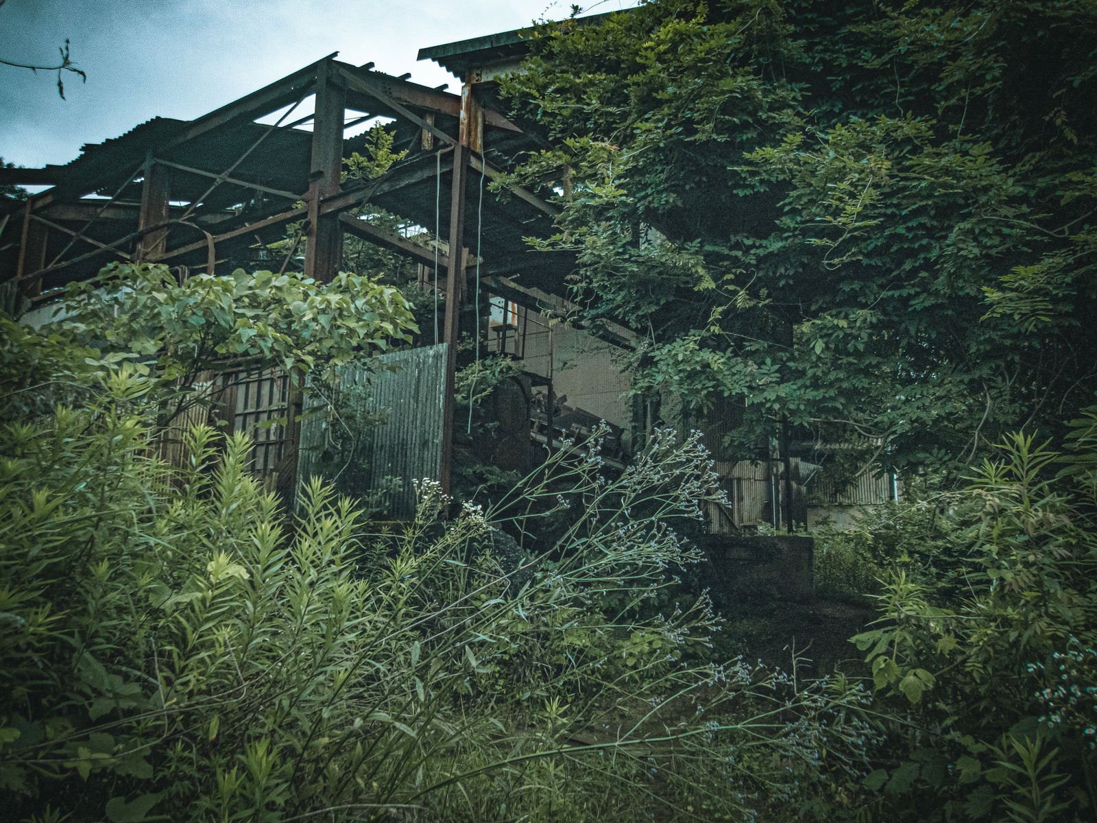 「森の中の粘土工場跡地」の写真