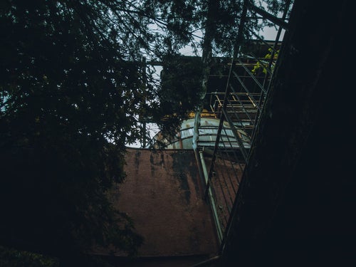 木に覆われた謎の廃施設の写真