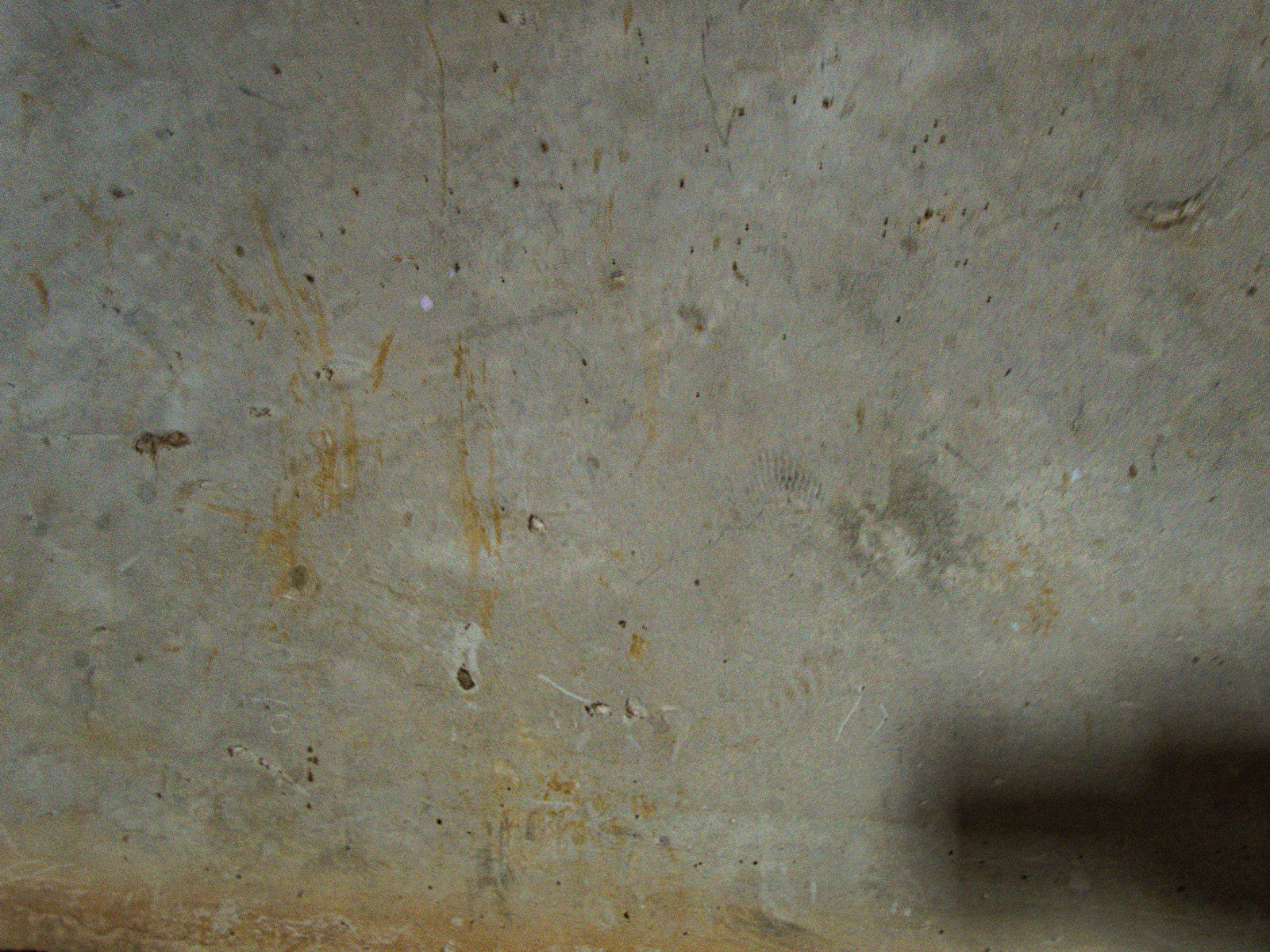 「錆と細かい傷が残る床」の写真