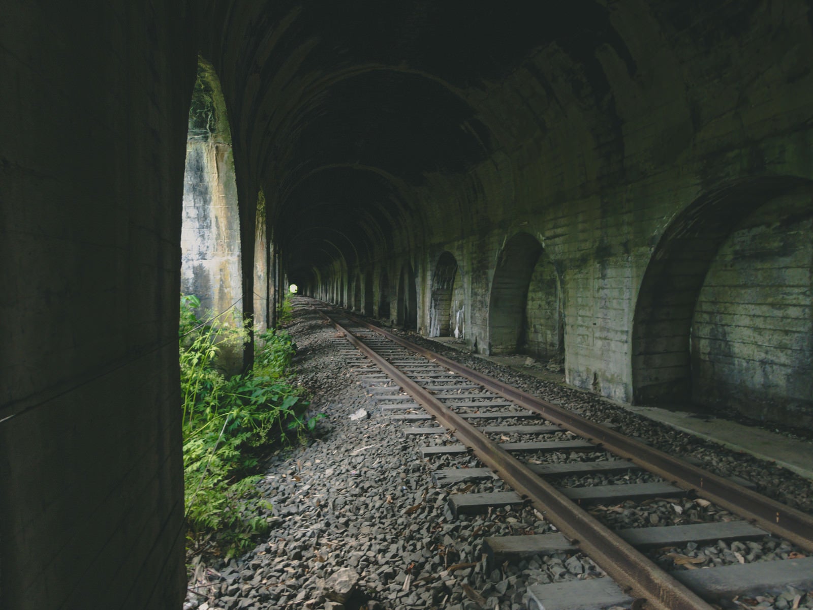 「奥へと続くトンネル」の写真