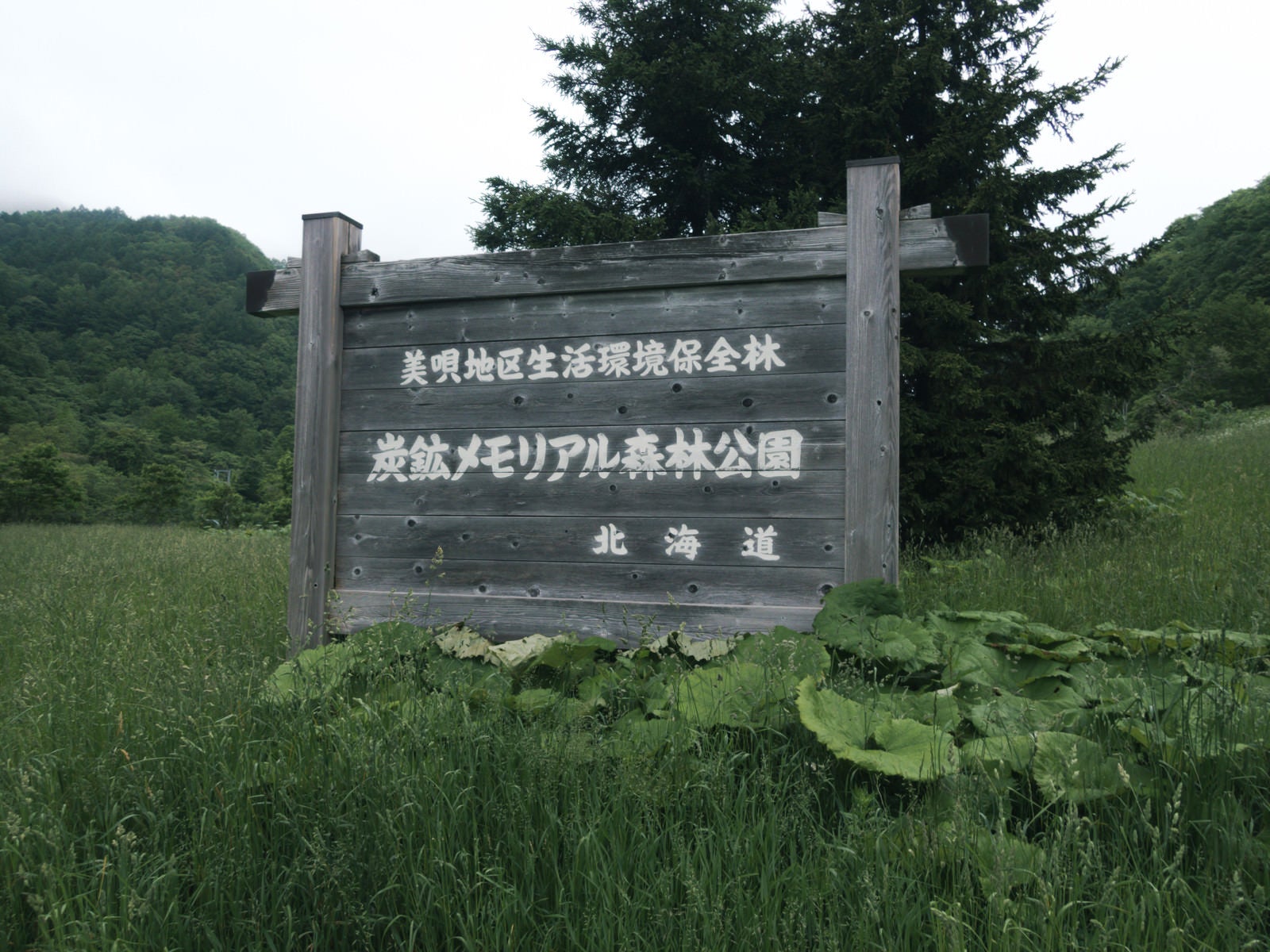 「炭鉱メモリアル森林公園と書かれた看板」の写真