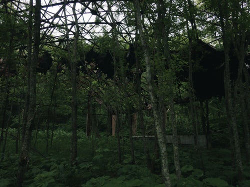 森に飲み込まれた鉄骨のみの廃墟の写真